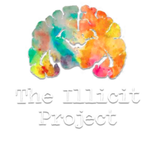 The Illicit Project